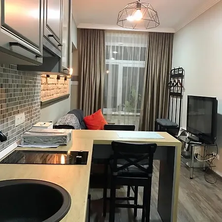 Winkel Apartment Vuzka * Lemberg
