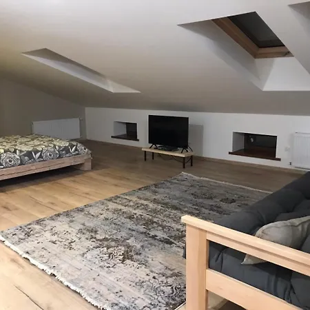 Winkel Apartment Vuzka * Lemberg