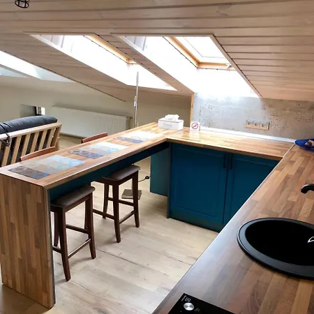 Apartment 公寓 利沃夫