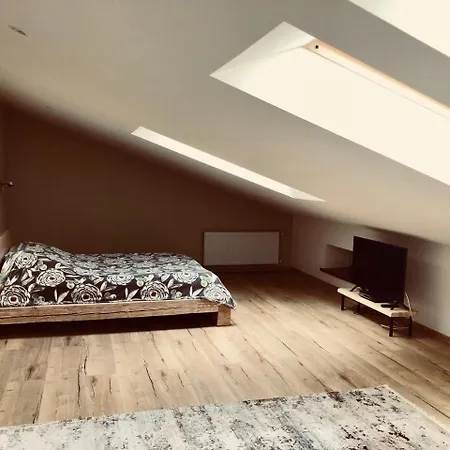Winkel Apartment Vuzka * Lemberg