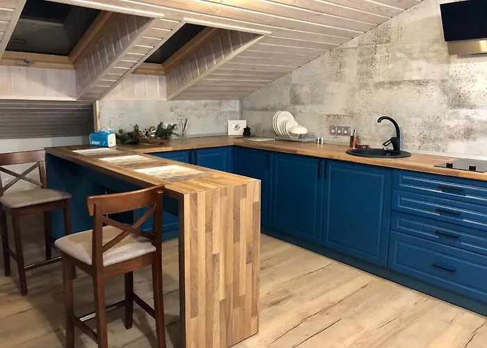 Apartment 公寓 利沃夫